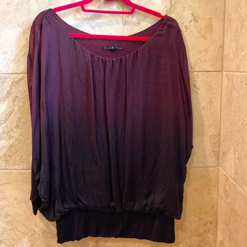 Charlie B's Rounded Neckline Bat Wing Sleeve Banded Bottom Ombre Silk Blouse